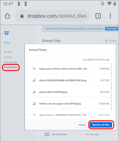 Recuperar Fotos de aplicativos excluídas do B612 do Dropbox