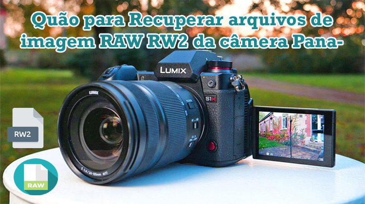 recuperar arquivos de imagem Panasonic RW2