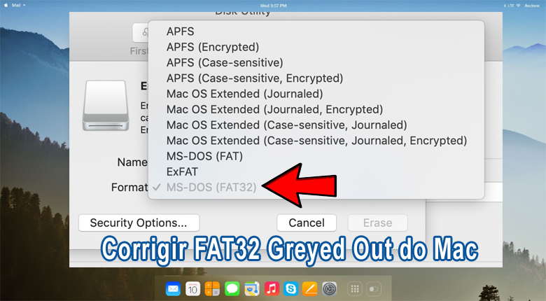 FAT32 Greyed Out no Mac