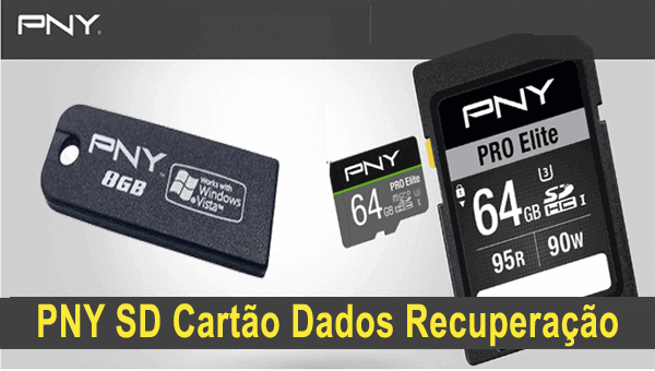 PNY SD Cartão Dados Recuperação