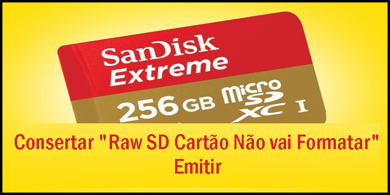 "Raw SD Cartão Não vai Formatar"